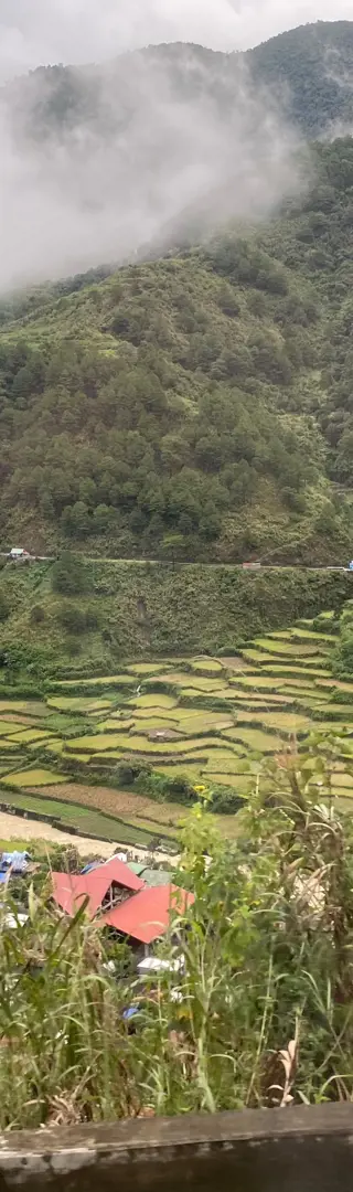 Banaue: Reisterrassen im Nebel